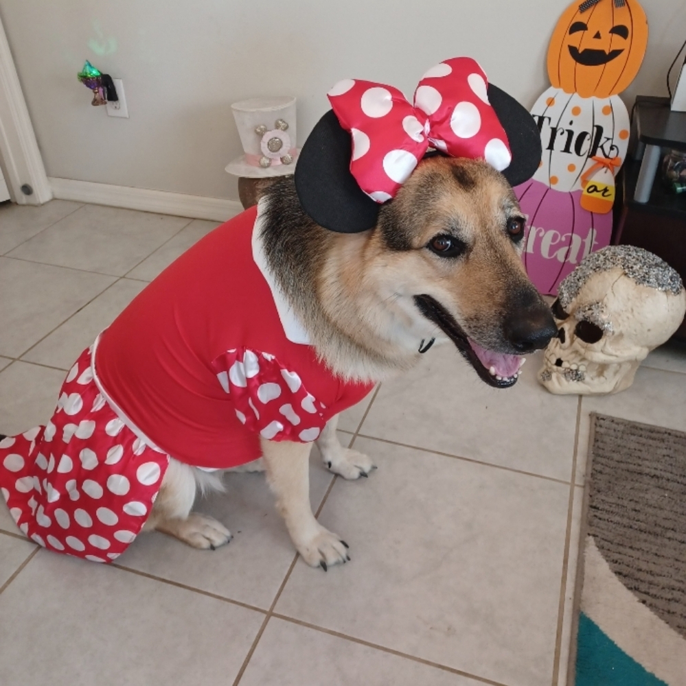 MISS RUBY - Picture 6 of 16